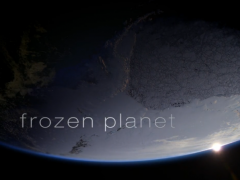 BBC Frozen Planet (Tập 1)