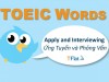 TOEIC WORDS - Apply and Interviewing