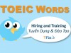 TOEIC WORDS - Hiring and Training