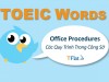 TOEIC WORDS - Office Procedures