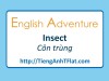 English Adventure - INSECT