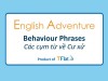 English Adventure - "BEHAVIOUR" PHRASES