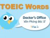 TOEIC WORDS - Doctor's Office