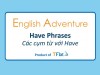 English Adventure - "HAVE" PHRASES