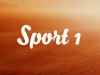 Chủ đề 21: Thể thao (Phần 1)