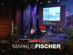 [TED] Markus Fischer: A robot that flies like a bird